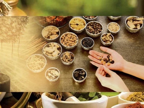 Ayurveda Fundamentals: Balance, Diet & Lifestyle